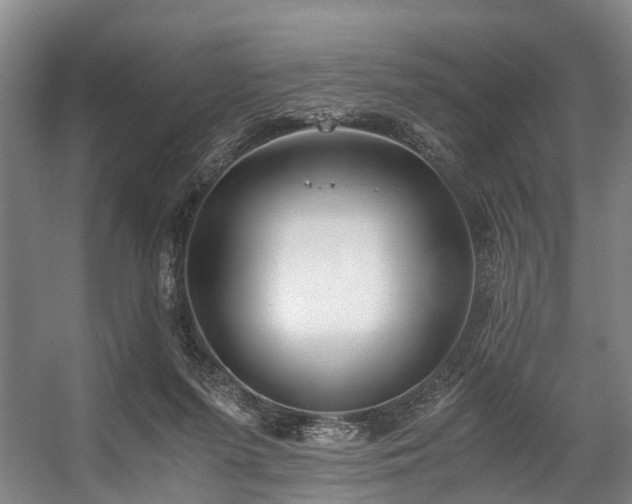 X0000057060215200509120857