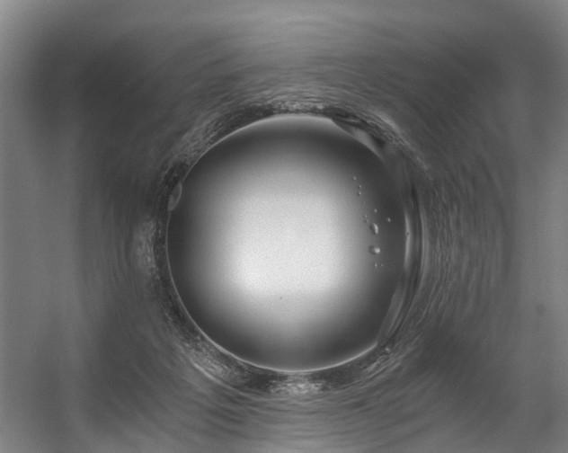 X0000057060217200509120856