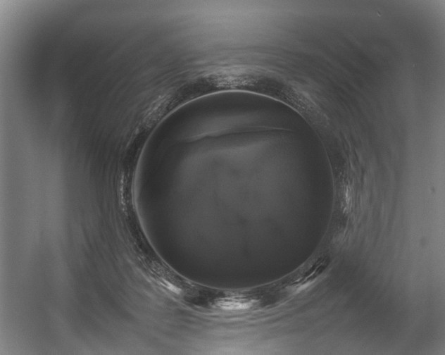 X0000057060219200509120856