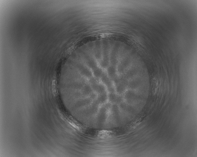 X0000057060222200509120856