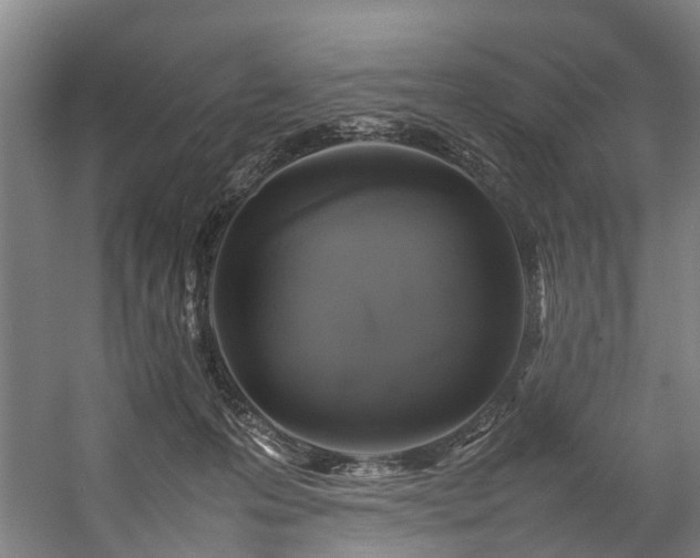 X0000057060223200509120856