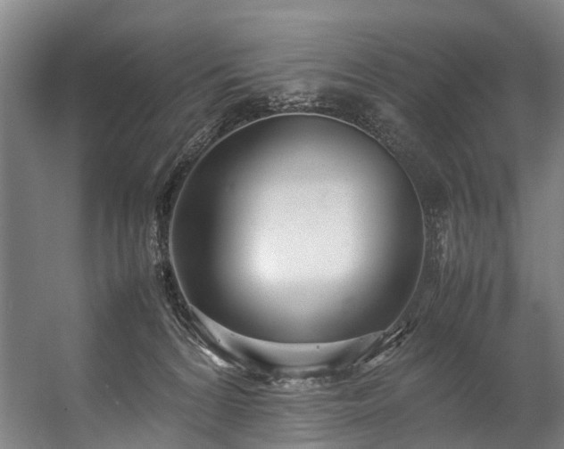 X0000057060224200509120856