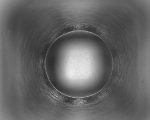 X0000057060225200509120856