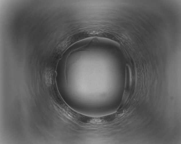 X0000057060227200509120856