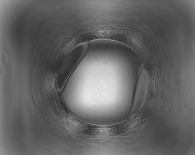 X0000057060233200509120856