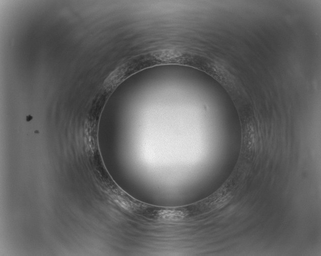 X0000057060234200509120856