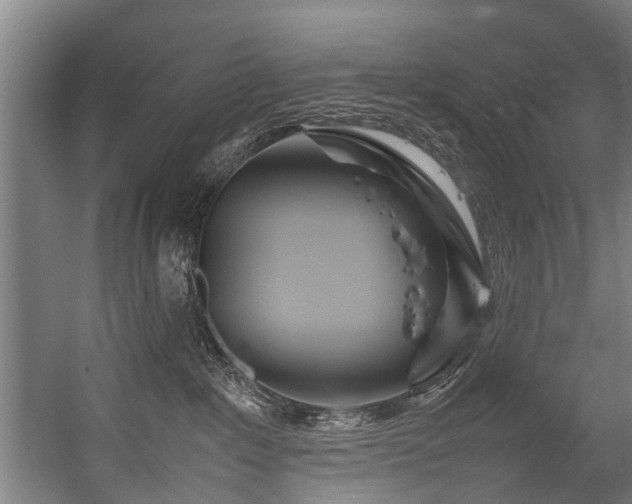 X0000057060235200509120856