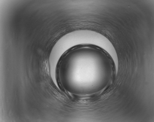 X0000057060237200509120856