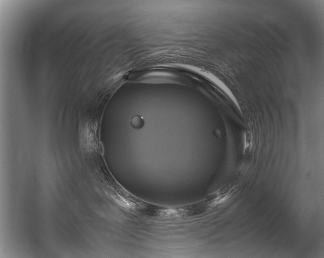 X0000057060239200509120856