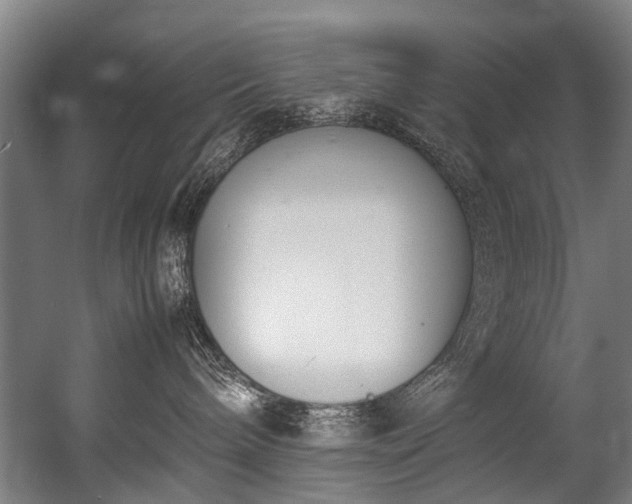 X0000057060240200509120856