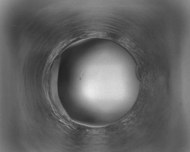 X0000057060241200509120855