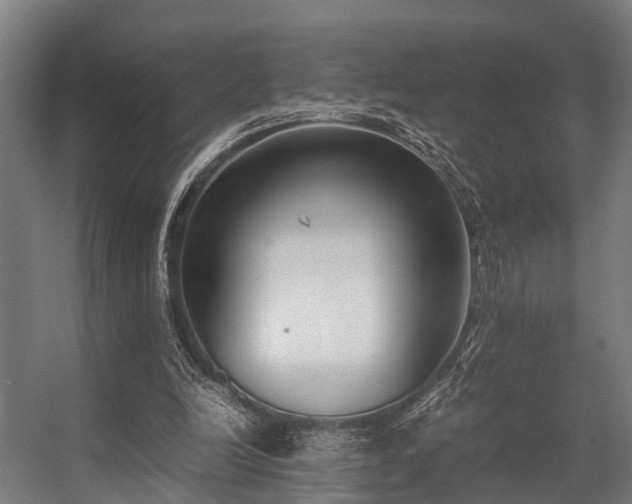 X0000057060246200509120855