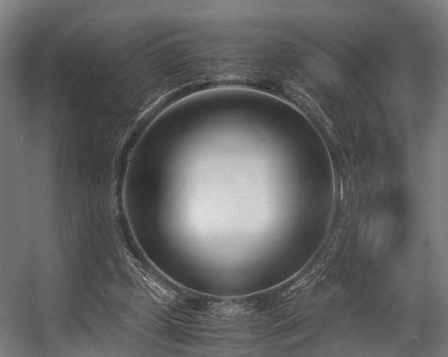 X0000057060249200509120855