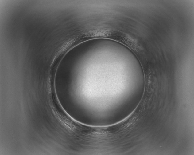 X0000057060250200509120855