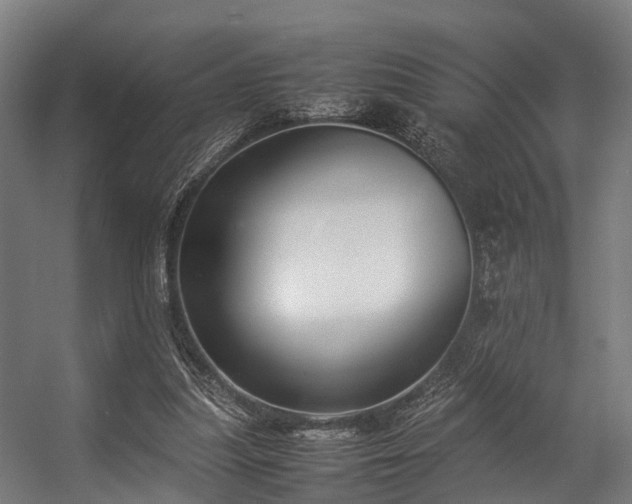 X0000057060251200509120855