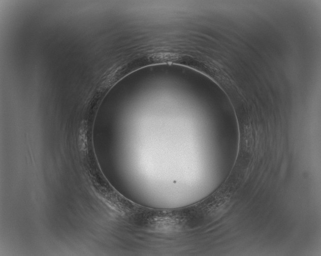 X0000057060259200509120856