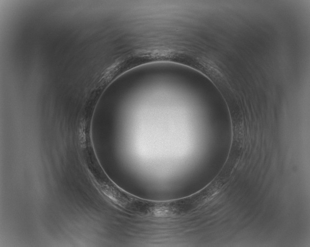 X0000057060264200509120856