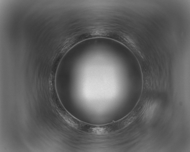 X0000057060265200509120856