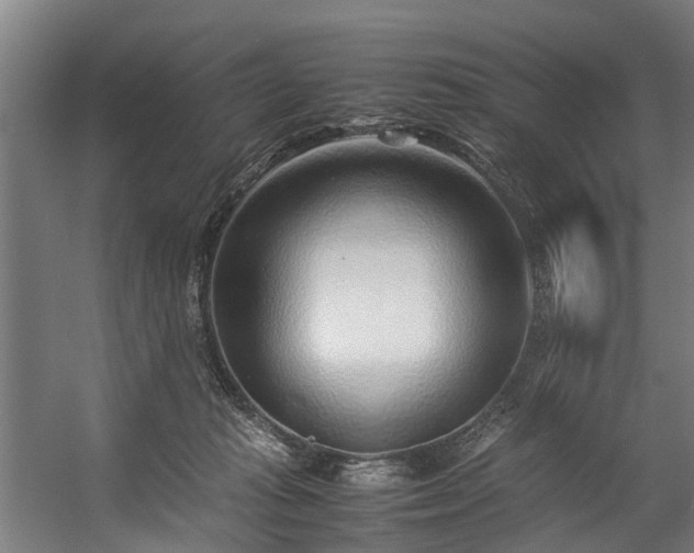 X0000057060269200509120856