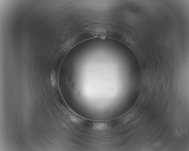 X0000057060287200509120856