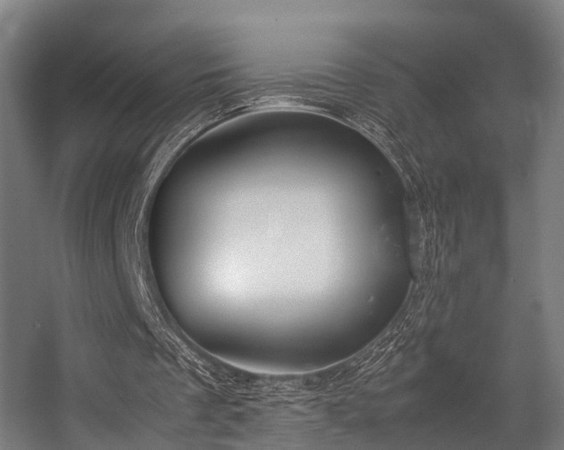 X0000057060289200509120855