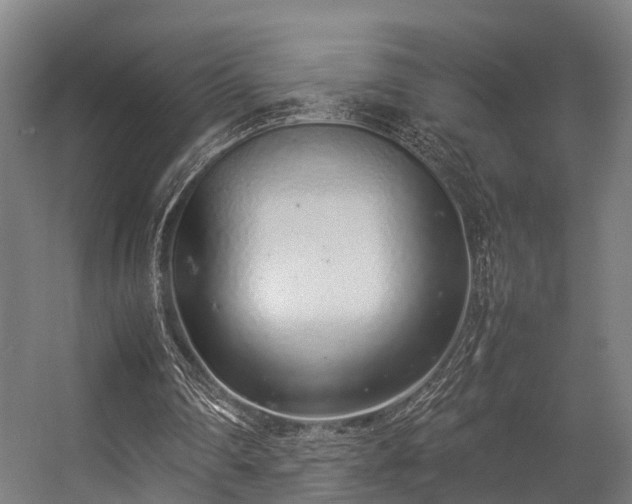 X0000057060290200509120855