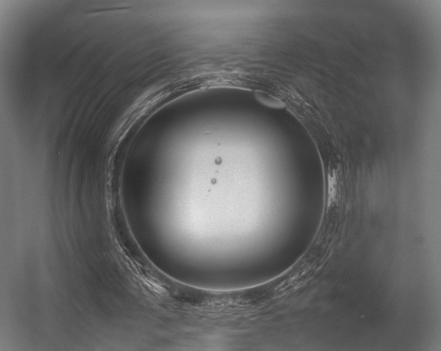 X0000057060291200509120855