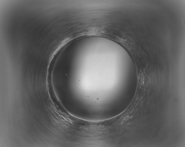 X0000057060292200509120855