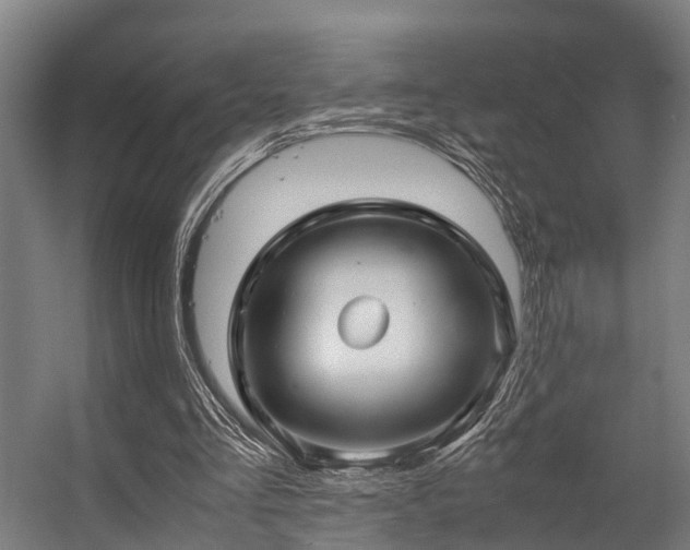 X0000057060293200509120855