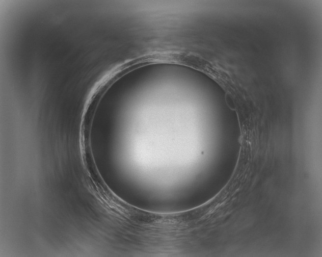 X0000057060294200509120855