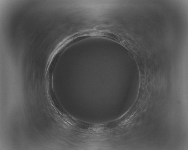 X0000057060295200509120855