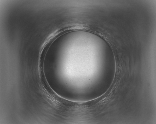 X0000057060296200509120855