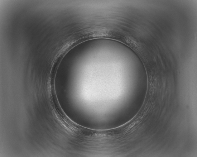 X0000057060298200509120855