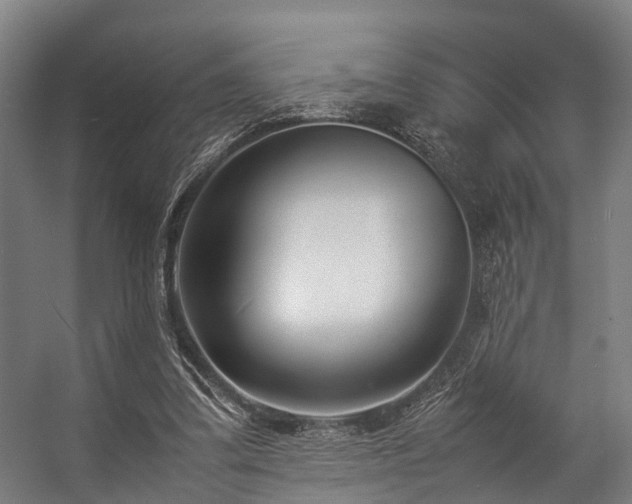 X0000057060299200509120855