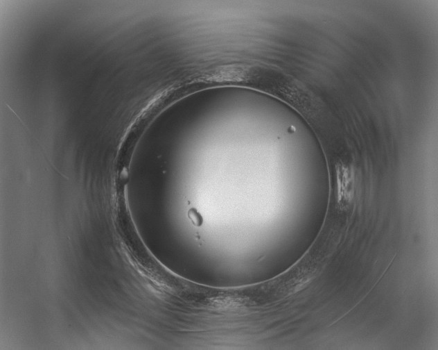 X0000057060300200509120855