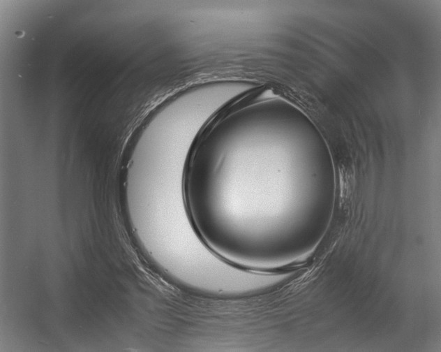 X0000057060301200509120855