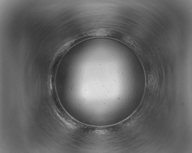 X0000057060302200509120855