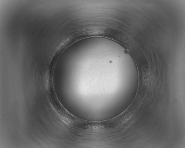 X0000057060304200509120855