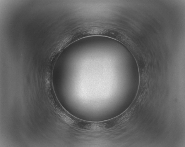 X0000057060305200509120855