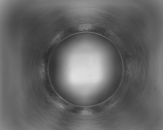 X0000057060308200509120855