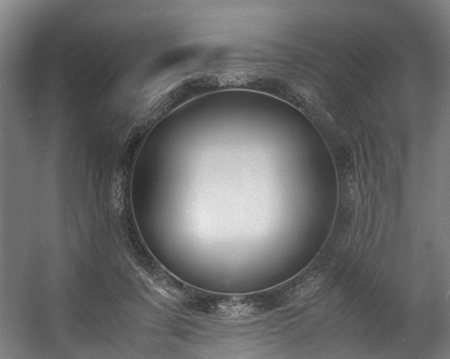 X0000057060311200509120855