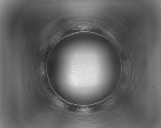 X0000057060313200509120855