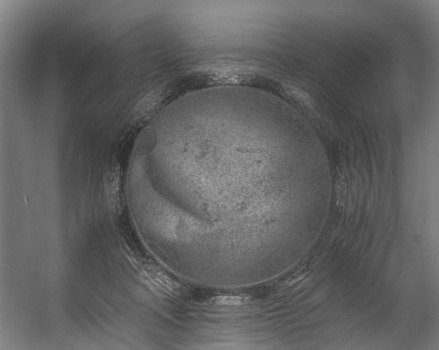 X0000057060314200509120855