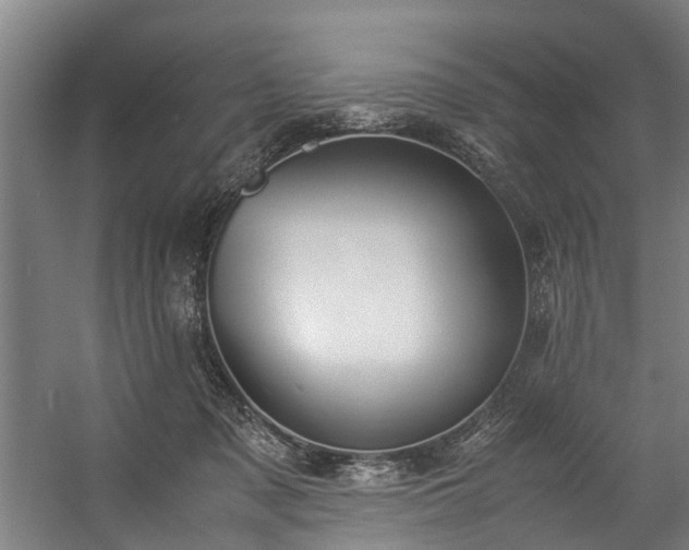 X0000057060317200509120855