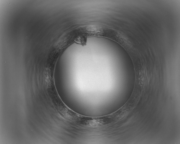 X0000057060320200509120855