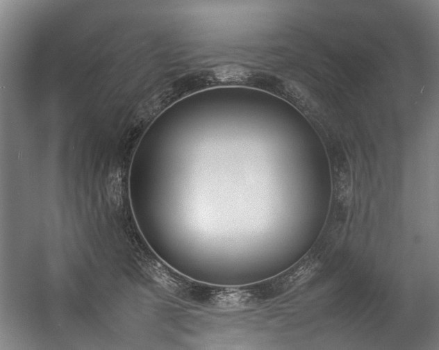 X0000057060321200509120855