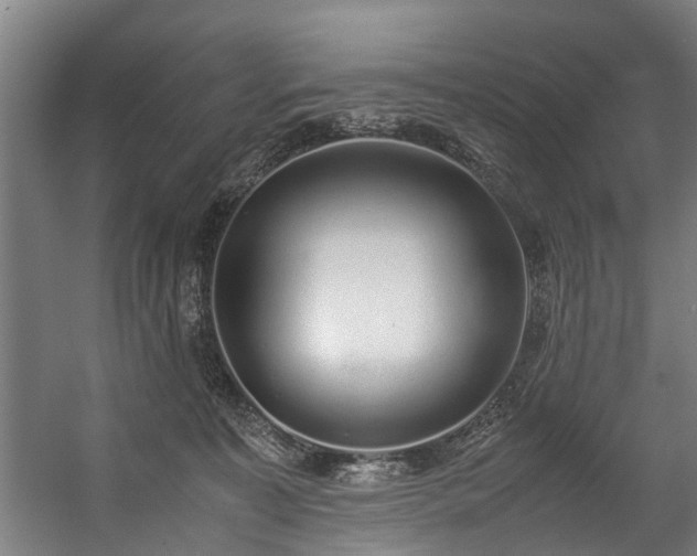 X0000057060323200509120855