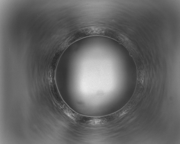 X0000057060326200509120855