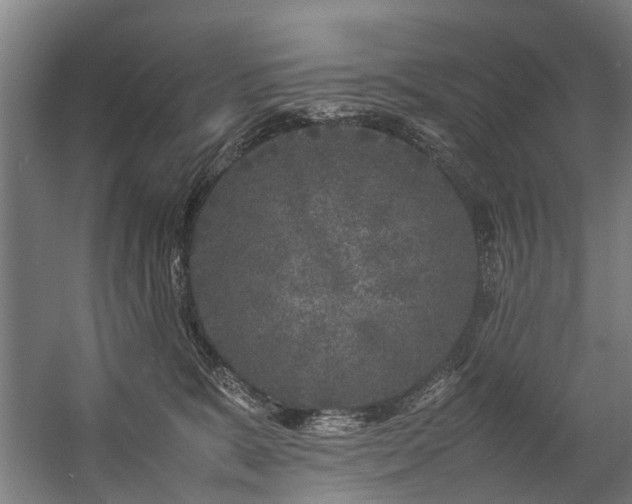 X0000057060327200509120855