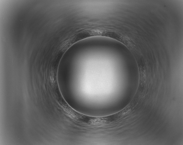 X0000057060331200509120855